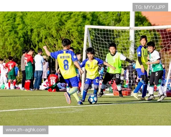 巴西甲联赛2020赛季赛程与南美足球比较