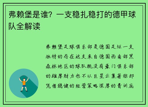 弗赖堡是谁？一支稳扎稳打的德甲球队全解读